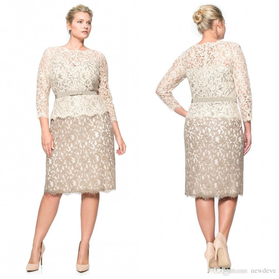 Plus Size Special Occasion Dresses Full Lace Bateau Long Sleeve Evening  Gowns Knee Length Sheath Mother Of The Bride Plus Size Clothing Stores  Online Plus
