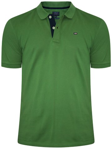 Buy T-shirts Online | Arrow Green Polo T-shirt | Arek0259 | Cilory.com