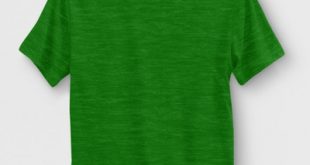 Boys' Teenage Mutant Ninja Turtles Short Sleeve T-Shirt - Green : Target
