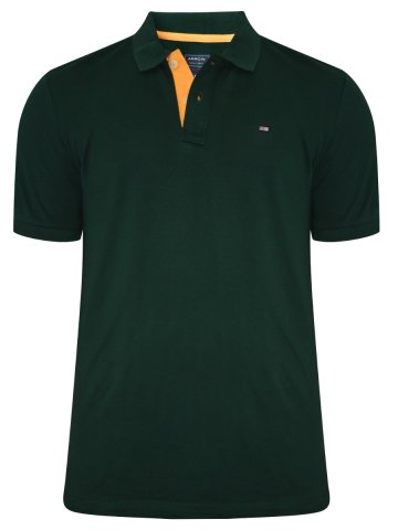 Buy T-shirts Online | Arrow Bottle Green Polo T-shirt | Arek0258