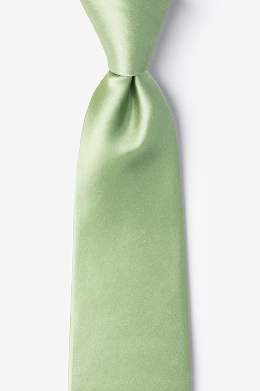 Celadon Green Silk Tie | Ties.com