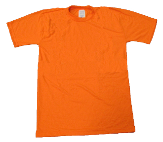 Plain Orange T-Shirt