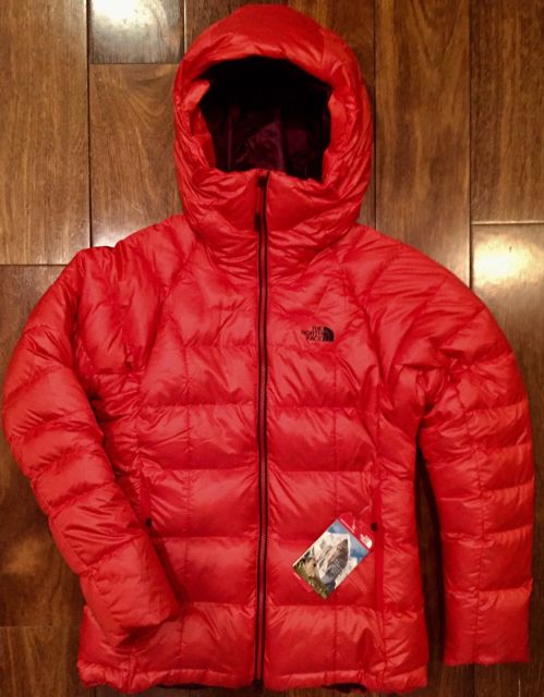 The North Face Mens Immaculate Parka Puffer 800 Down Jacket High