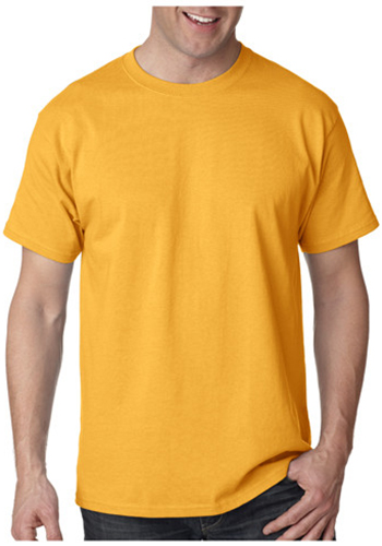 Printed Hanes Tagless T-shirts | 5250 - DiscountMugs